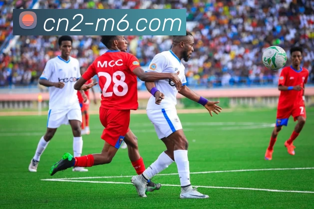 M14体育投注平台APP 封面图